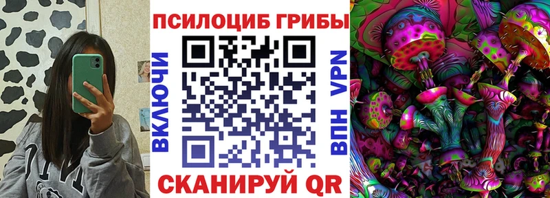 Купить  Боровичи  Псилоцибиновые грибы Psilocybine cubensis 