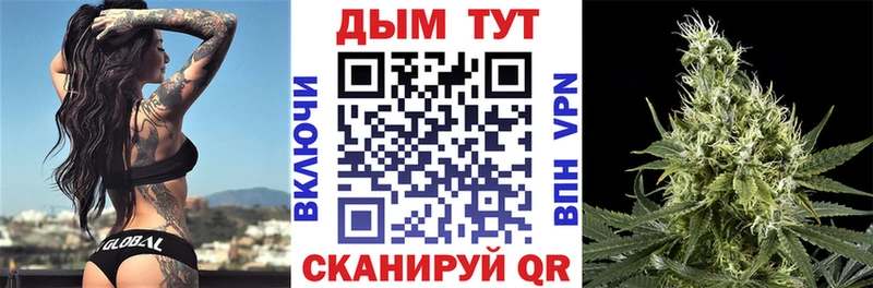 Конопля планчик  Купить закладки  Боровичи 